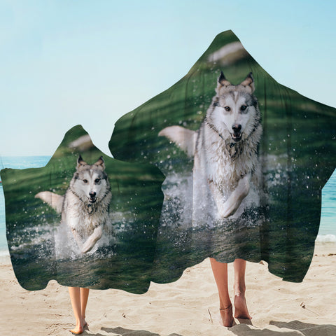 Image of Running White Wolf On River SWLS6136 Hooded Towel