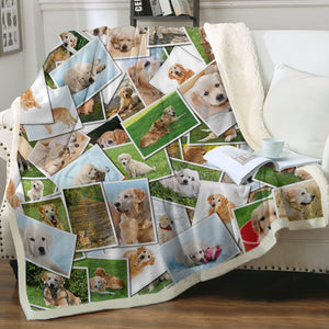 Golden Retriever Pictures SWMT5237 Fleece Blanket