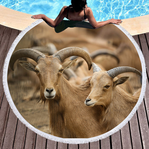 Image of Two Brown Deers SWST3333 Round Beach Towel