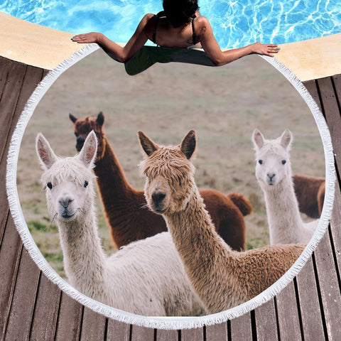 Image of Colors of Alpacas SWST3358 Round Beach Towel