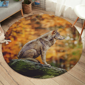 Real Wolf in Forest SWYD3807 Round Rug