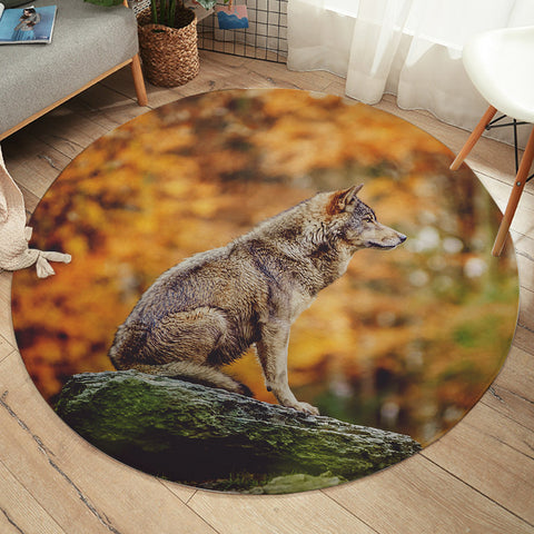 Image of Real Wolf in Forest SWYD3807 Round Rug