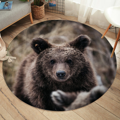 Image of Real Forest Black Bear SWYD4419 Round Rug
