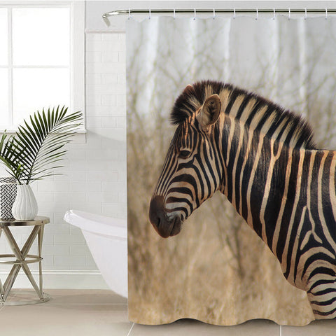 Image of Zebra SWYL2402 Shower Curtain