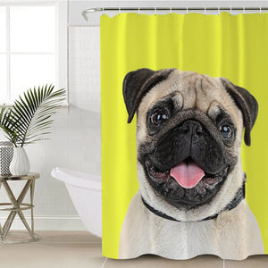 Cute Pug SWYL2406 Shower Curtain
