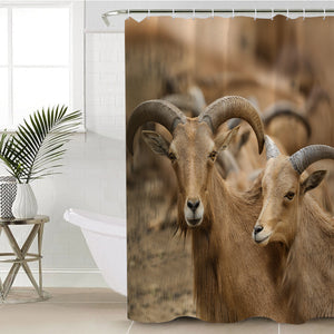 Two Brown Deers SWYL3333 Shower Curtain