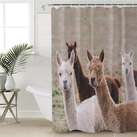 Image of Colors of Alpacas SWYL3358 Shower Curtain