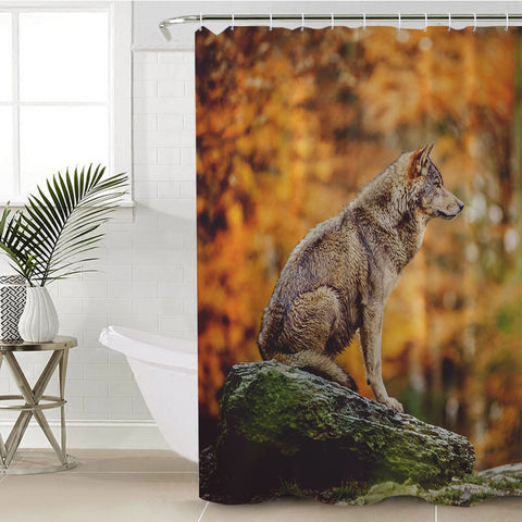 Image of Real Wolf in Forest SWYL3807 Shower Curtain