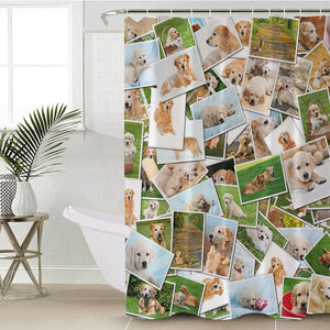 Golden Retriever Pictures SWYL5237 Shower Curtain