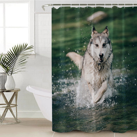 Image of Running White Wolf On River SWYL6136 Shower Curtain