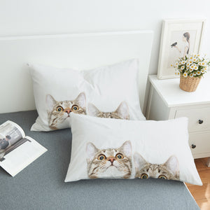 Curious Cats SWZT1502 Pillowcase