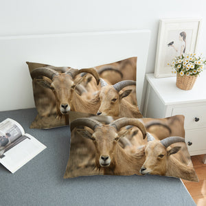 Two Brown Deer SWZT3333 Pillowcase