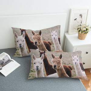 Colors of Alpacas SWZT3358 Pillowcase