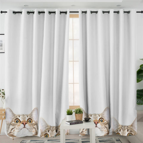 Image of Curious Cats 2 Panel Curtains