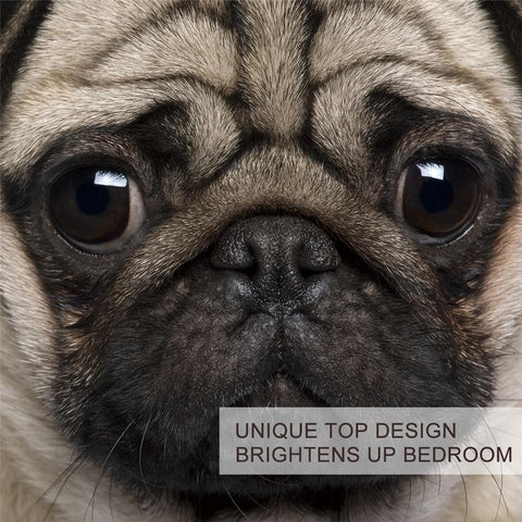 Image of 3D Bulldog Comforter Set - Beddingify