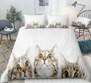 3D Cats White Background Bedding Set - Beddingify